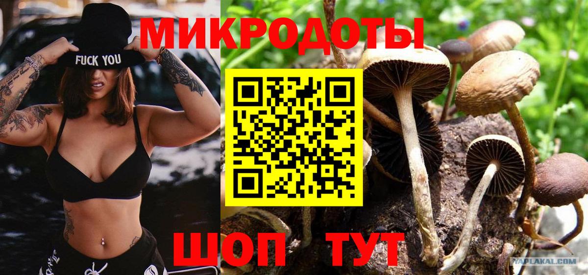 Псилоцибиновые грибы ЛСД  магазин продажи наркотиков  Нефтеюганск  Вход с VPN  Галлюциногенные грибы Psilocybine cubensis 